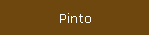 Pinto