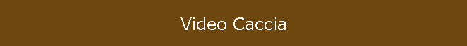 Video Caccia