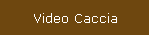 Video Caccia