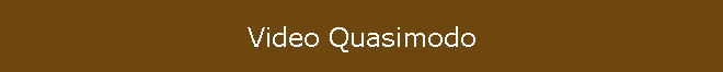 Video Quasimodo