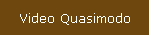 Video Quasimodo